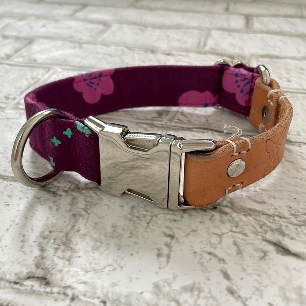 Custom Dog Collar